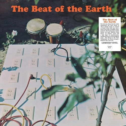 BEAT OF THE EARTH - BEAT OF THE EARTH