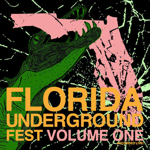 FLORIDA UNDERGROUND FEST 1 / VARIOUS - FLORIDA UNDERGROUND FEST 1 / VARIOUS