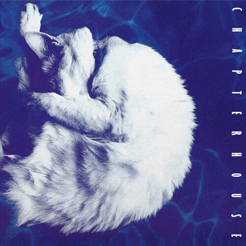 CHAPTERHOUSE - WHIRLPOOL