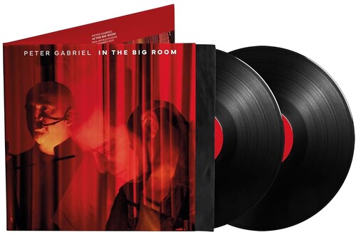GABRIEL,PETER - IN THE BIG ROOM