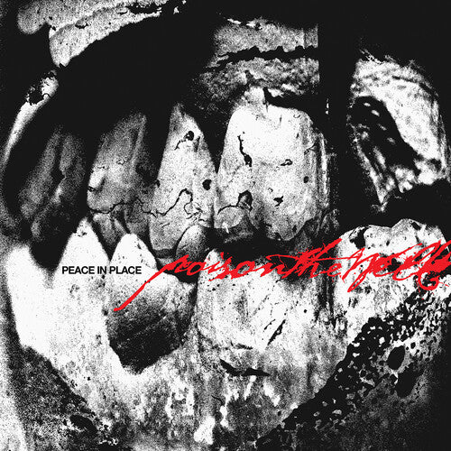 Poison the Well – Peace In Place