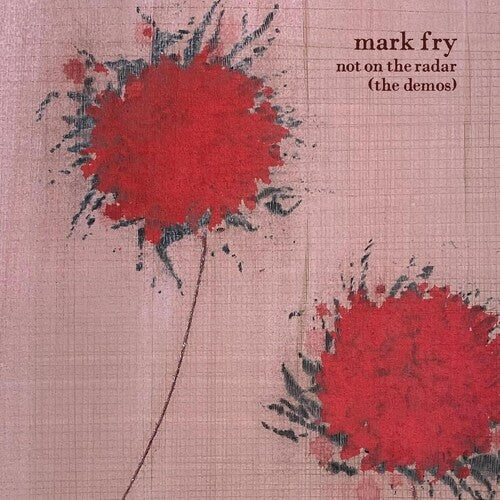 FRY,MARK - NOT ON THE RADAR: DEMOS