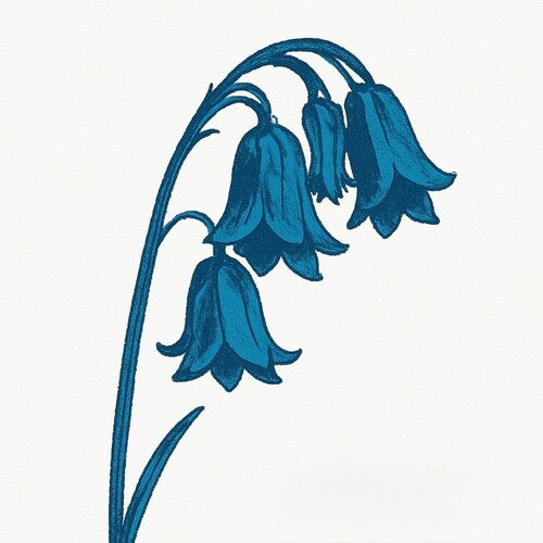 BLUEBELLS - THIS IS THE BLUEBELLS - GLADE GREEN VINYL
