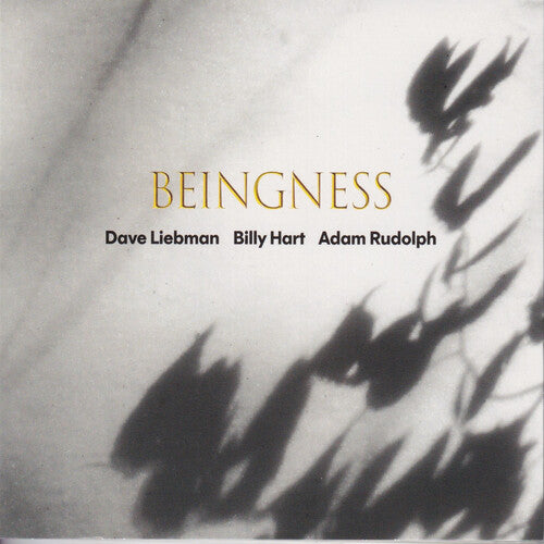 LEIBMAN,DAVE / HART,BILLY / RUDOLPH,ADAM - BEINGNESS