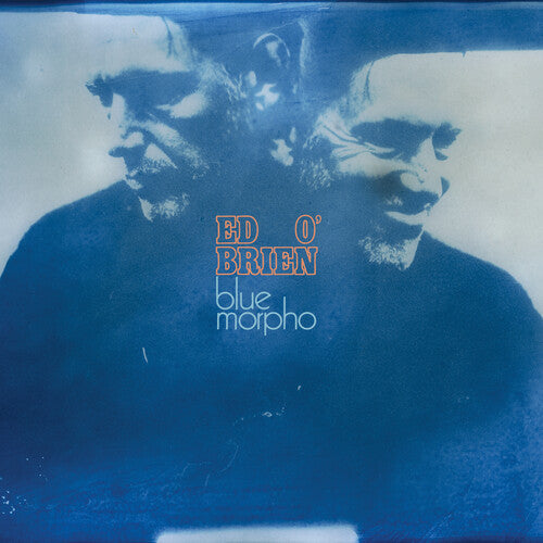 O'BRIEN,ED - BLUE MORPHO
