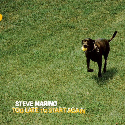 MARINO,STEVE - TOO LATE TO START AGAIN