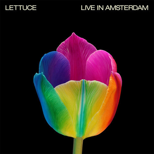 LETTUCE - LIVE IN AMSTERDAM - PINK