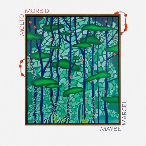 Molto Morbidi – Maybe Marcel