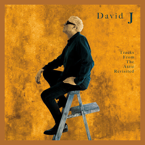 DAVID J - TRACKS FROM THE ATTIC REVISITED