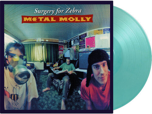 METAL MOLLY - SURGERY FOR ZEBRA