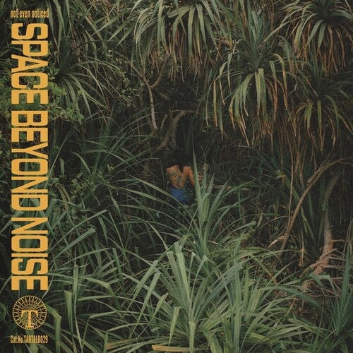 Not Even Noticed - Space Beyond Noise