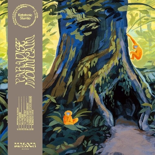 Katatonic Silentio – Paradise Mountain