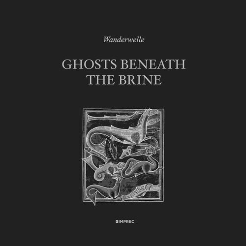 Wanderwelle – Ghosts Beneath The Brine