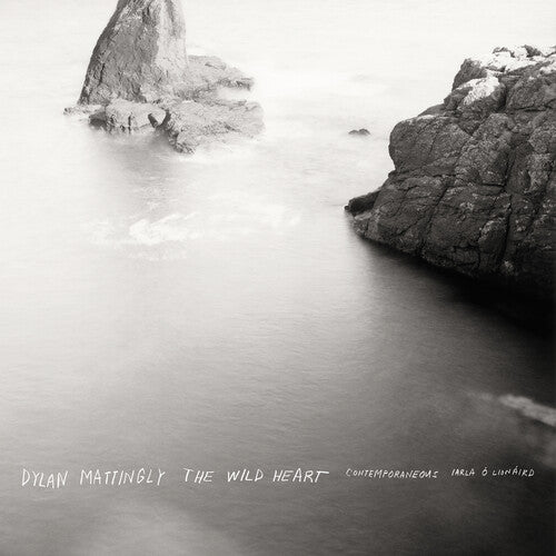CONTEMPORANEOUS / BLOOM,DAVID - DYLAN MATTINGLY: THE WILD HEART