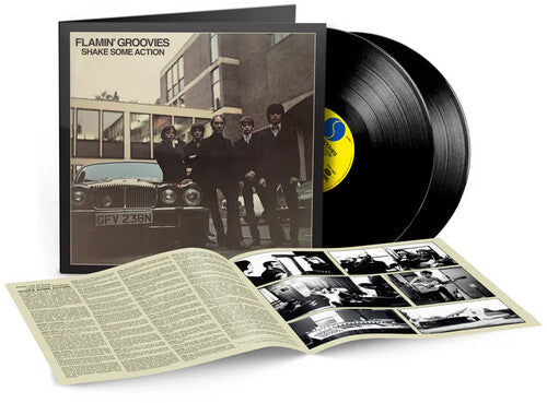FLAMIN' GROOVIES – SHAKE SOME ACTION
