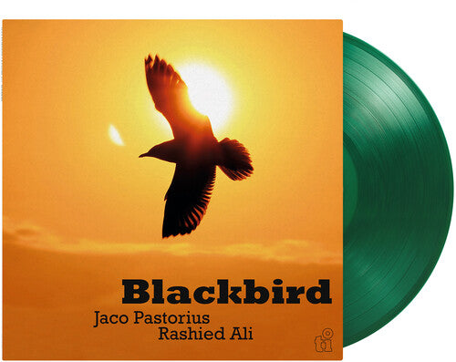 Jaco Pastorius – Blackbird