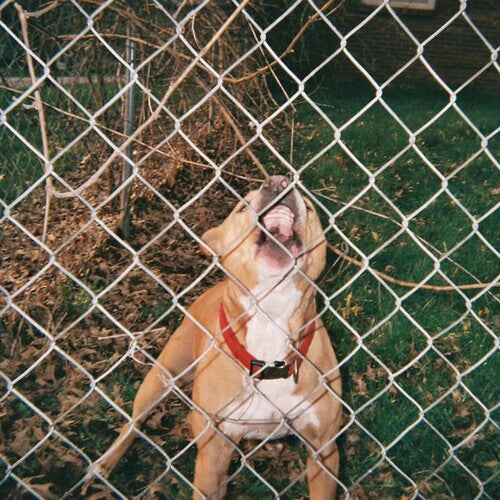 KNOCKED LOOSE - POP CULTURE