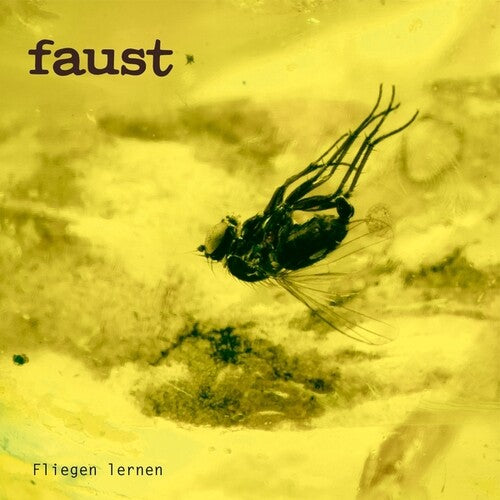 Faust – Fliegen Lernen