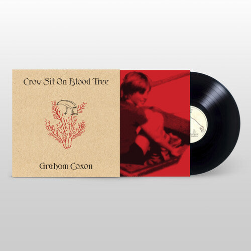 Graham Coxon - Crow Sit on Blood Tree