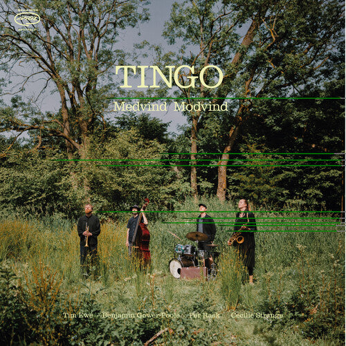 Tingo – Medvind Modvind