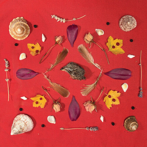 Secret Family – Grouse Head Talisman