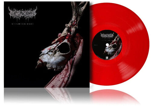 Mental Cruelty – Echoes Of A Forlorn Land