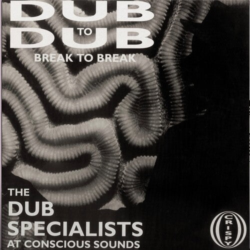 Dub Specialists – Dub To Dub Break to Break