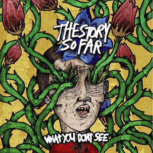 The Story So Far - What You Don'T See