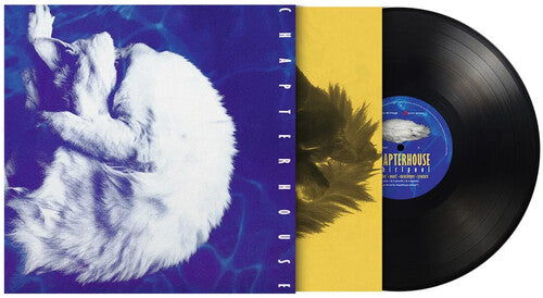 Chapterhouse – Whirlpool