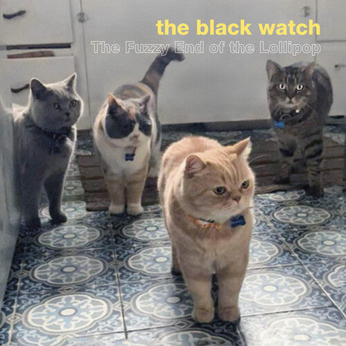 The Black Watch - The Fuzzy End of the Lollipop