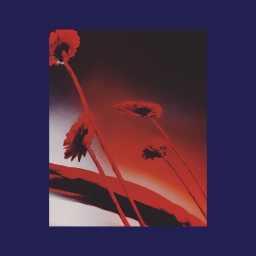 Various Artists – Nothing Ever Was: Compiled By DJ Sundae