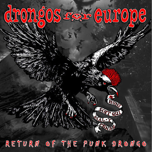 Drongos for Europe – Return of the Punk Drongo