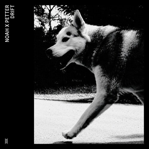 Noah X Petter – Drift