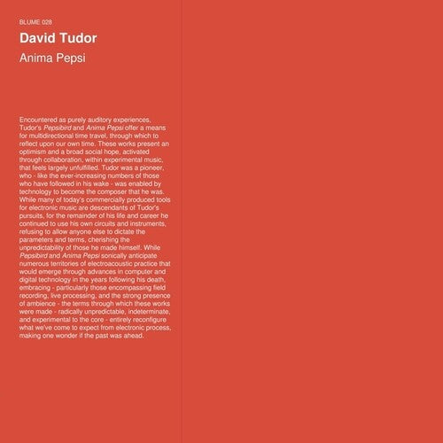 David Tudor – Anima Pepsi