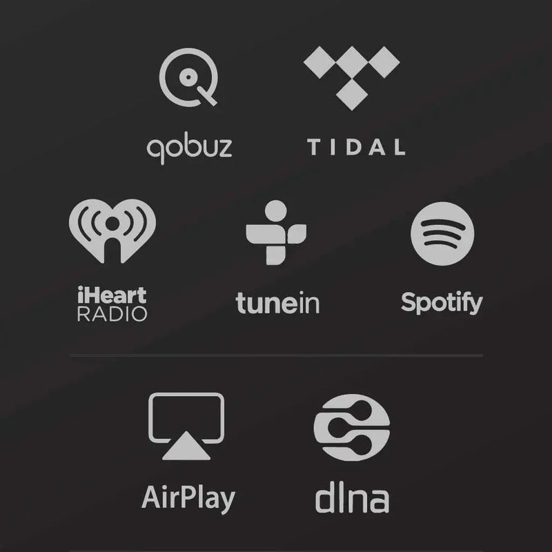 Songbird - Streaming Device    Mus Negro