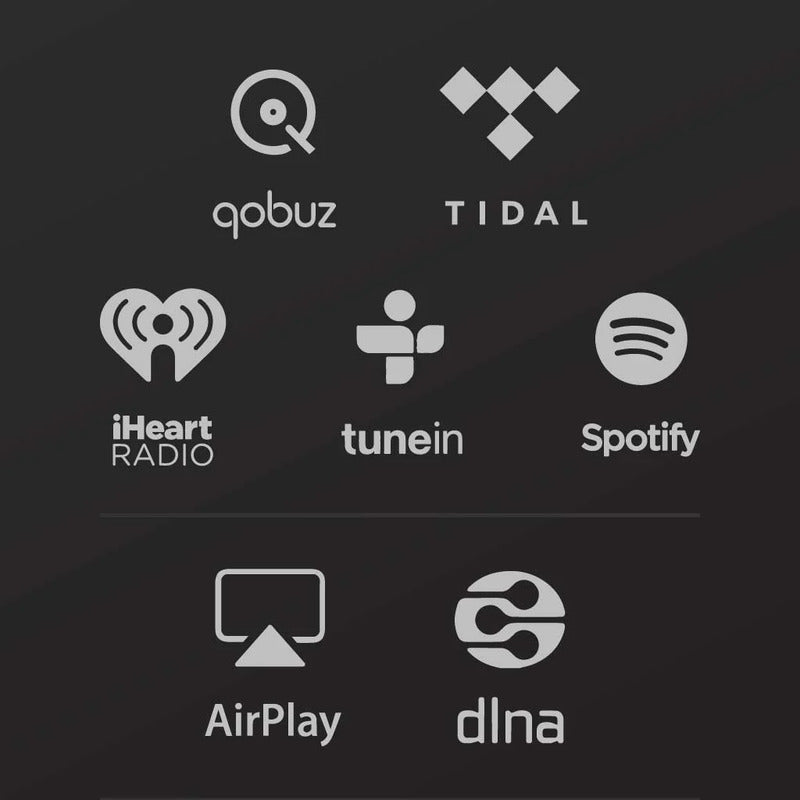 Songbird - Streaming Device    Mus Negro