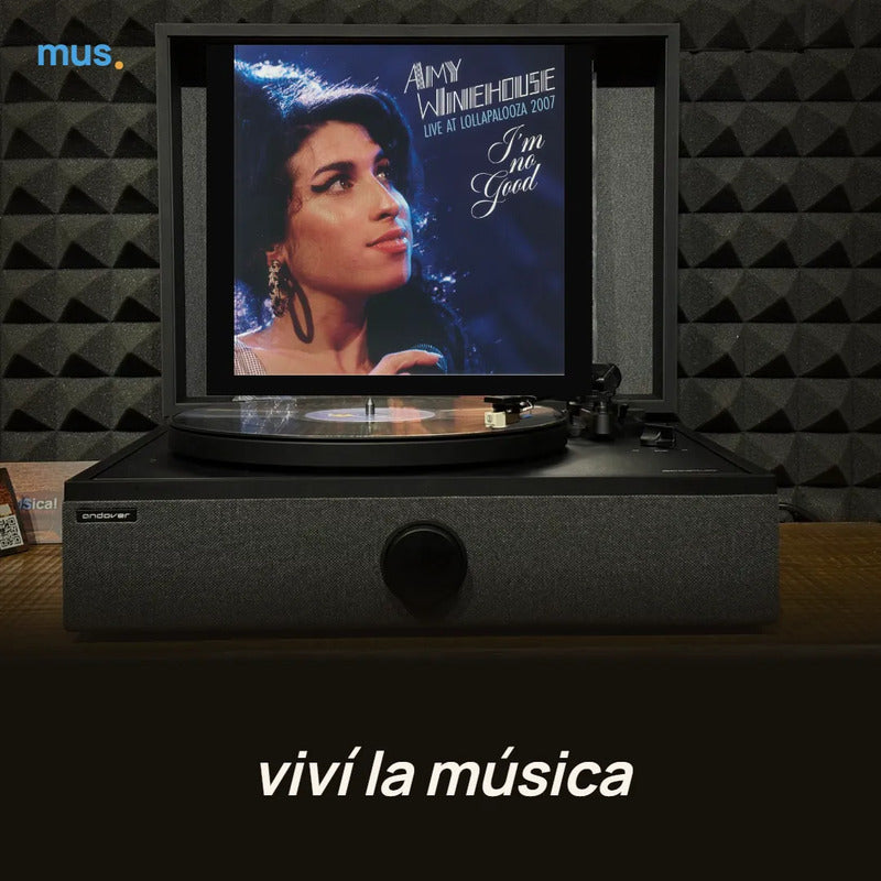 Amy Winehouse – I'm No Good(live At Lollapalooza), foto 5 de 5