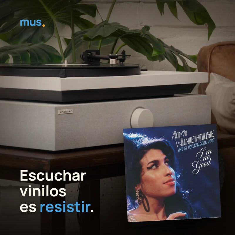Amy Winehouse – I'm No Good(live At Lollapalooza), foto 2 de 5