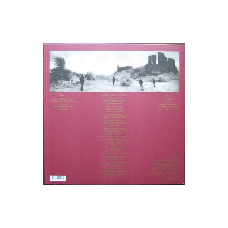 U2 The Unforgettable Fire Lp Vinyl