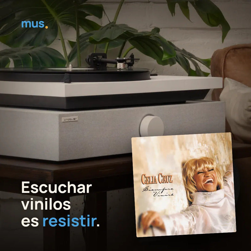 Celia Cruz - Siempre Viviré (2 Lp) - Vinilo Mus Estándar