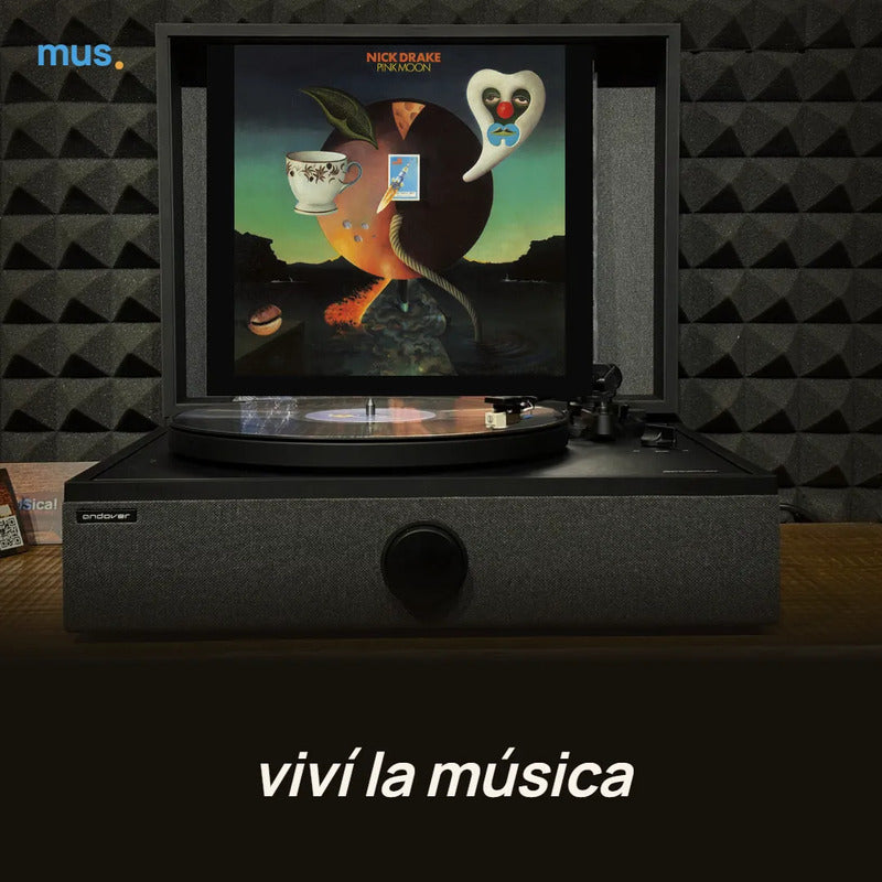 Nick Drake – Pink Moon, foto 5 de 5