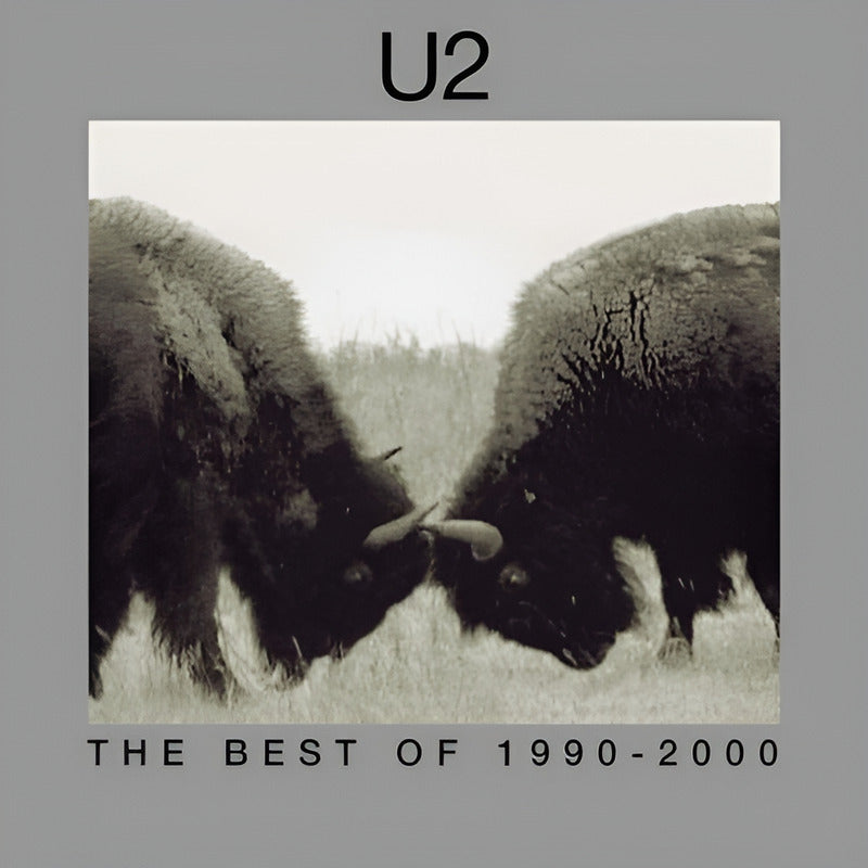 U2 The Best Of 1990-2000 / Vinilo - Mus